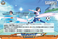 DZ-BT15/EX51 セカンドライフフープ